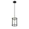Z-Lite Kirkland 1 Light Mini Pendant, Ashen Barnboard 472MPR-ABB - alternate 5